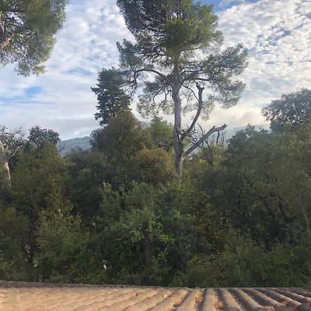 Les Magnolias Bed & Breakfast Marseille Luaran gambar